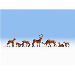 Group of 7 Deer in different poses