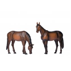 Horses Standing and Grazing
