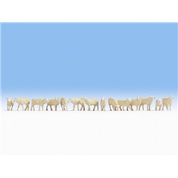 Sheep (14) Figure Set