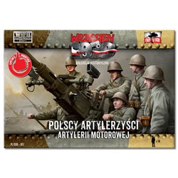 Polish Anti-Aircraft Gun Crew