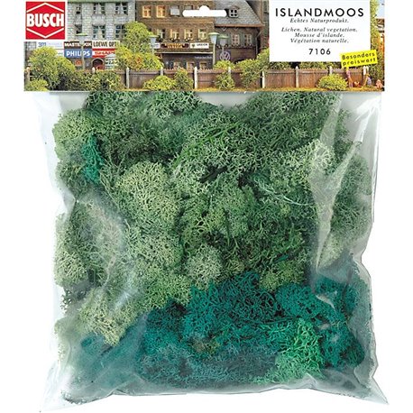 Large Bag Green Lichen