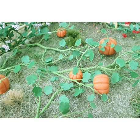 Pumpkins (6)