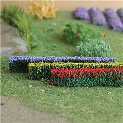Flowering Hedges (6)