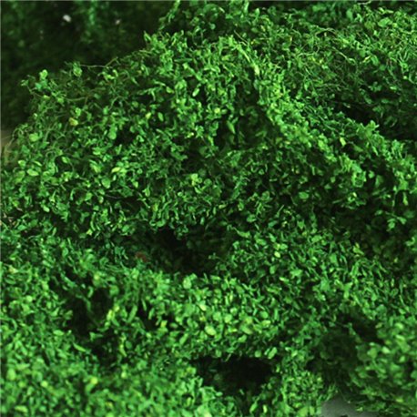 Foliage Cluster Medium Green