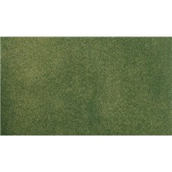 33" x 50" Green Grass Medium Roll