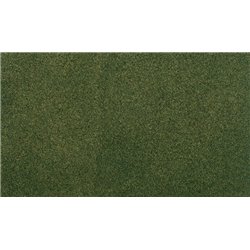 25" x 33" Forest Grass Small Roll