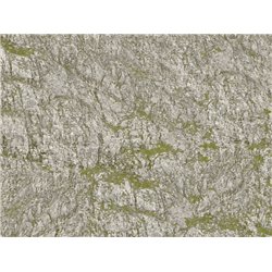 Wrinkle Rocks Seiser Alm 45x22.5cm