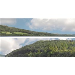 Forest hills OO gauge Backscene (15"x10’) pack B PREMIUM PRINT !