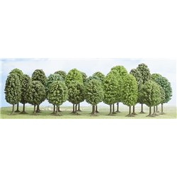 Pack of 25 deciduous trees (70-125mm)