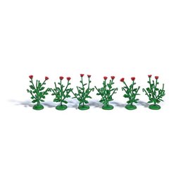 40 poppy plants (plastic kit)