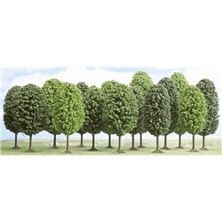 15 deciduous trees