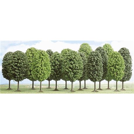 15 deciduous trees