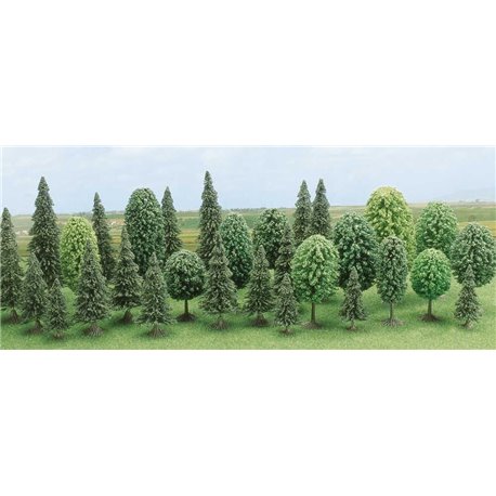 30 Mixed Forest Trees