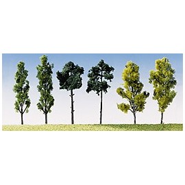6 Assorted Trees