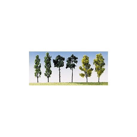 6 Assorted Trees
