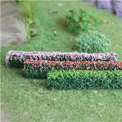 Mixed Hedges (6/pack)