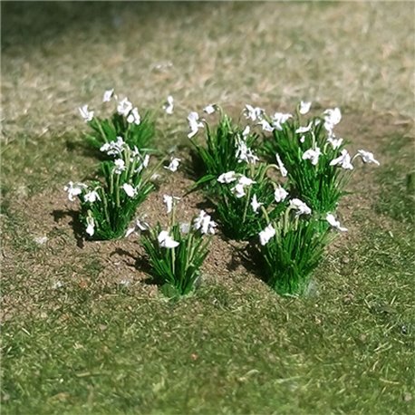 Snowdrops (20/pack)