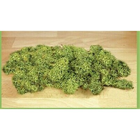 Mid Green Lichen Super Value 250g bag