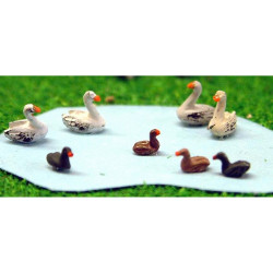 Painted Waterfowl, 4 swans & 4 ducks