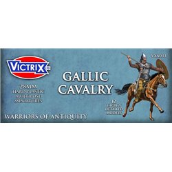 Ancient Gallic Cavalry (x12)