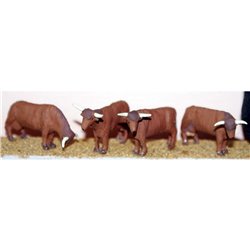4 Highland Cattle various stances - Unpainted