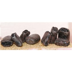8 coal or potato Sacks - Unpainted