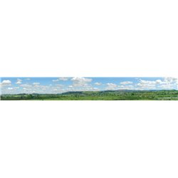 Pecoscene - Photographic Background, Water Meadow