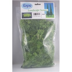 Dark Green Lichen Super Value 250g bag