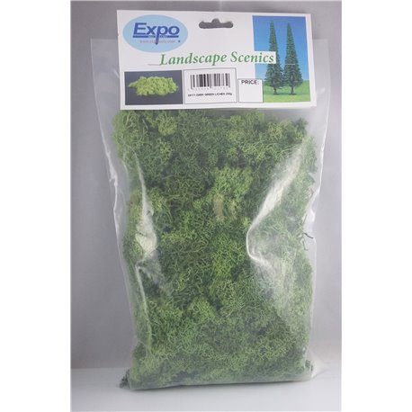 Dark Green Lichen Super Value 250g bag