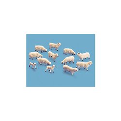 Sheep, Ewes & Lambs