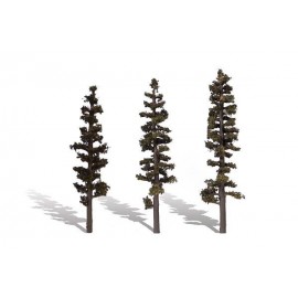 6in.-7in. Standing Timber - Pack of 3