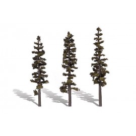7in.-8in. Standing Timber - Pack of 3
