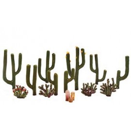 Set of 13 Cactus Plants (1⁄2 - 2 1⁄2 in.)