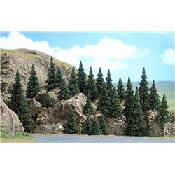  25 Assorted Pine trees