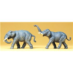 Circus Elephants (2)