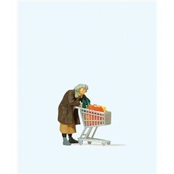 Homeless Woman with Shopping Trolley