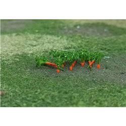N-gauge Carrot Plants (16)