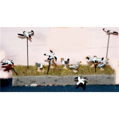 12 Assorted Seagulls - Unpainted