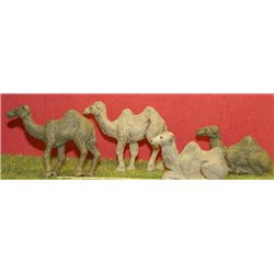 Painted Camels sitting and standing (OO Scale) x4