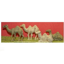 Camels sitting and standing - Unpainted