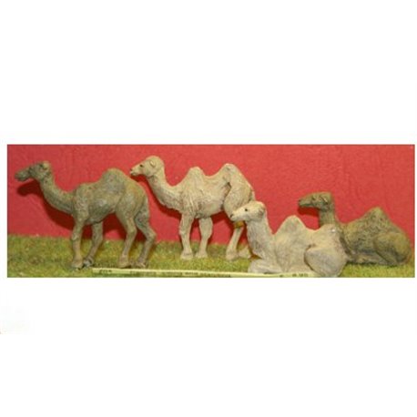 Camels sitting and standing - Unpainted