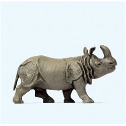 Indian Rhinoceros (Head
