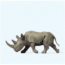 African Rhinoceros (Head