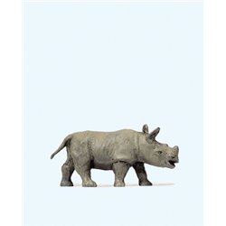 African Rhinoceros Calf