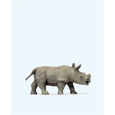 African Rhinoceros Calf