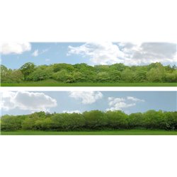Scenic Backgrounds - Trees Pack B - N gauge