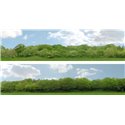 Scenic Backgrounds - Trees Pack B - N gauge