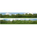 Scenic Backgrounds - Tall Trees Pack A - N gauge