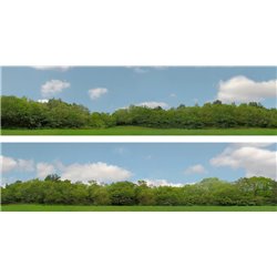 Scenic Backgrounds - Trees Pack C