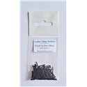 Golden Valley Hobbies Track Screws 10mm Long